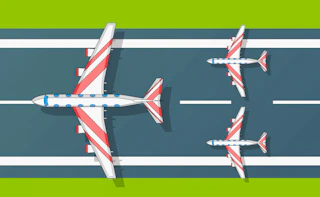 Flight Survival