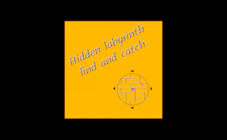 Hidden labyrinth - find and catch