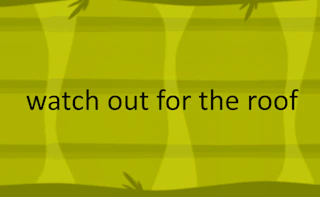 watch out for the roof